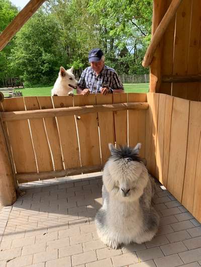 Dogorama Foto Challenge - Wanderziel-Beitrag-Bild