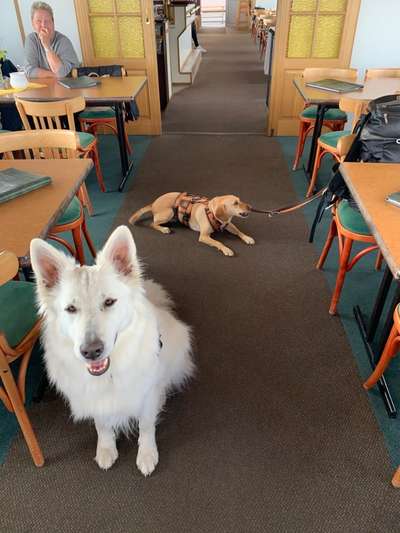 12. Farben Foto Challenge --- Braun-Beitrag-Bild