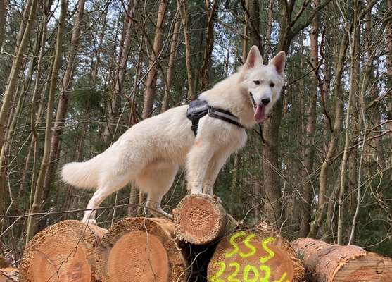 27. Handy Fotochallenge-Beitrag-Bild