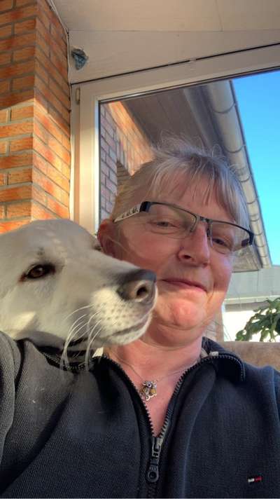 21. Collage Challenge 
Du und dein Hund-Beitrag-Bild