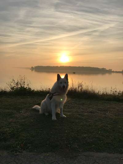 118. Fotochallange-Beitrag-Bild