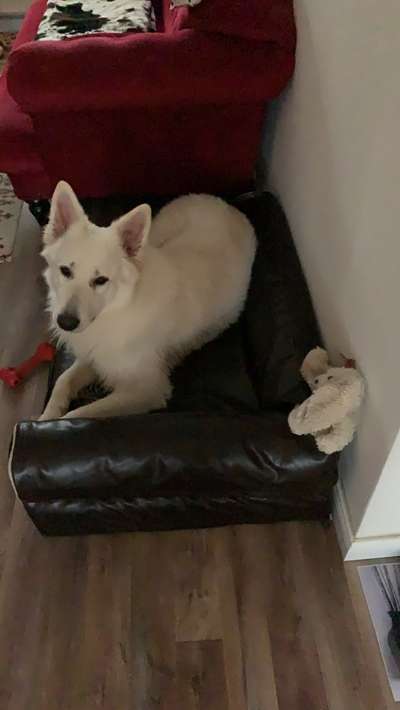 23. Collagen-Challenge: Portraits-Beitrag-Bild