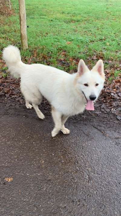 28. Handy-Fotochallenge - Damals und heute-Beitrag-Bild