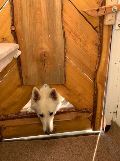 48. Collagen Challenge: Das Leben ist bunt-Beitrag-Bild