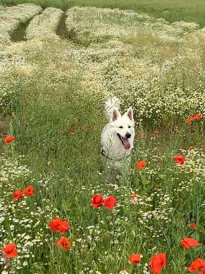 Zeigt eure schönsten Sommerbilder-Beitrag-Bild