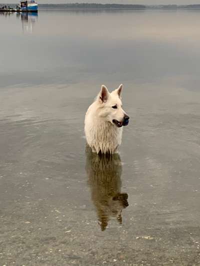 Foto Challenge Nr.133-Beitrag-Bild