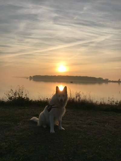 Sonnenaufgänge oder - untergänge-Beitrag-Bild