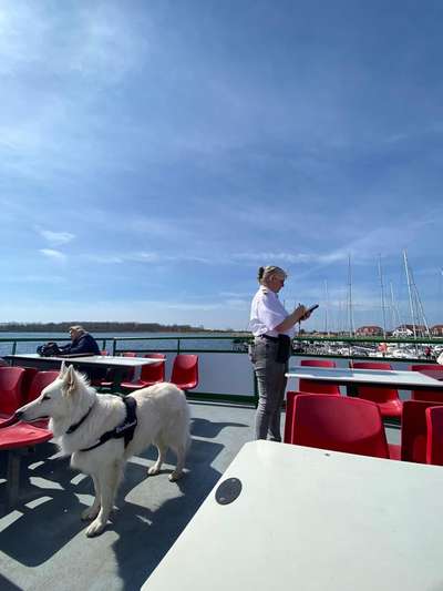 13. Kurzgeschichten Challenge - Dinner for one-Beitrag-Bild