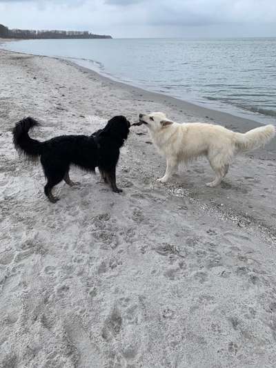 7. Kurzgeschichten Challenge: Spaziergang am Strand-Beitrag-Bild