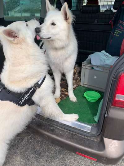 Fotochallenge 131-Beitrag-Bild