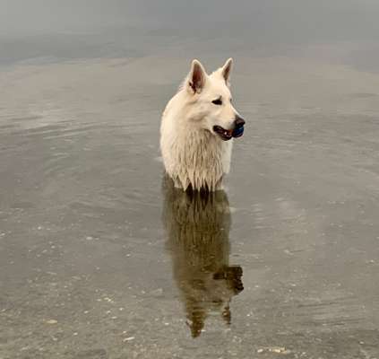 FarbenFoto - Challenge: Sepia-Beitrag-Bild