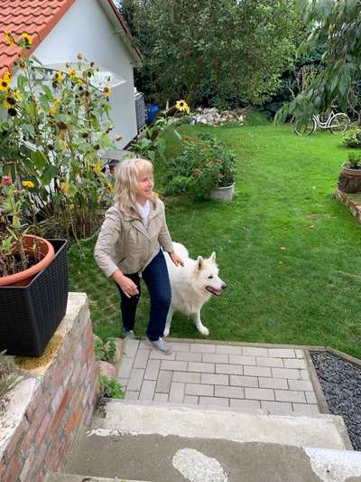 27. Collagen Challenge - Dein Hund mit Blume(n)-Beitrag-Bild