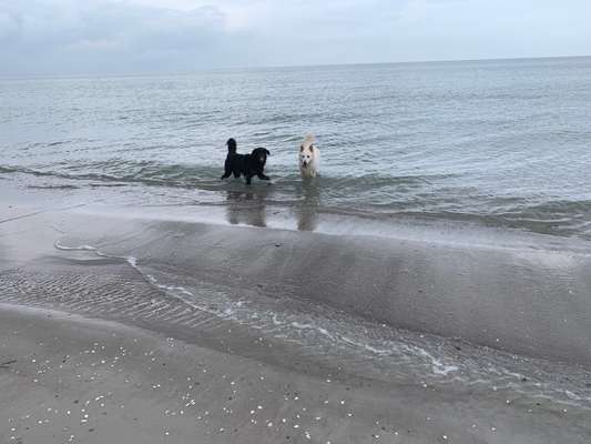 7. Kurzgeschichten Challenge: Spaziergang am Strand-Beitrag-Bild