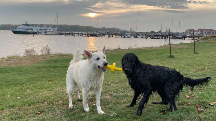 Die 9. Kurzgeschichten Challenge 
Meine Spielzeug Sammlung-Beitrag-Bild