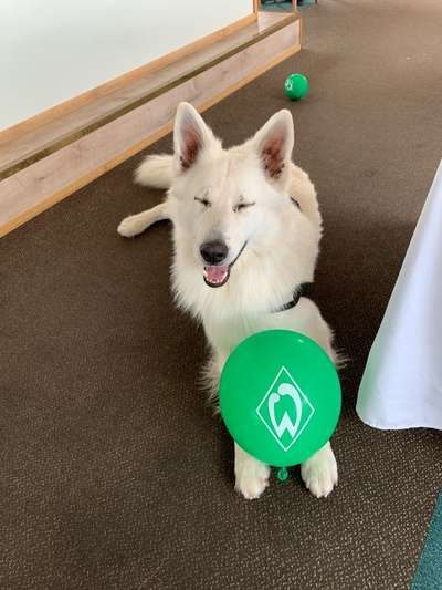 Farben Fotochallenge Thema ,,Grün"-Beitrag-Bild