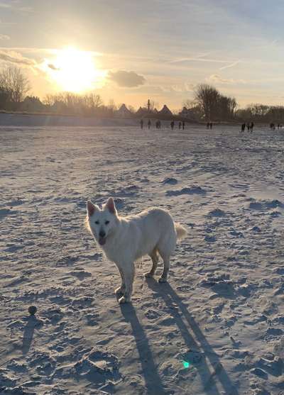 37. Collagen Challenge- Am Strand-Beitrag-Bild