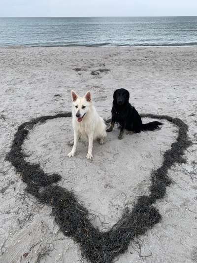 7. Kurzgeschichten Challenge: Spaziergang am Strand-Beitrag-Bild