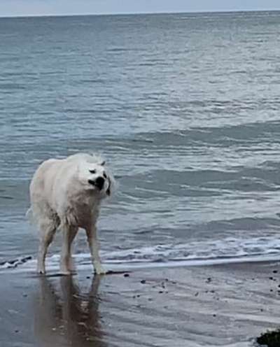 Eure schönsten Fotos mit Wasser-Beitrag-Bild