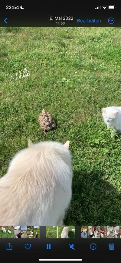 Fotochallenge 129-Beitrag-Bild