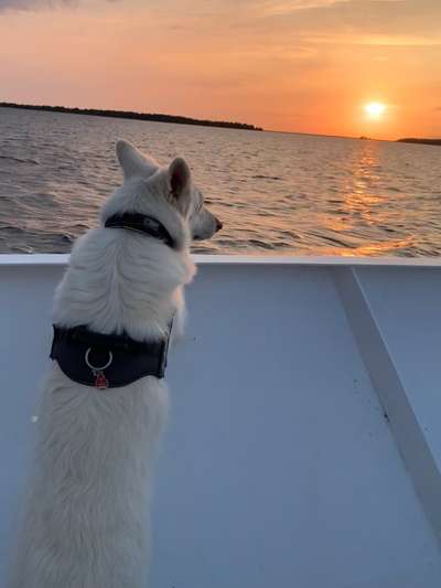 18. Farben Fotochallenge: Sonnenuntergang-Beitrag-Bild