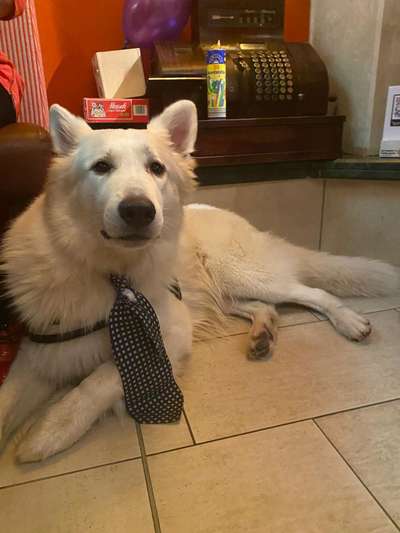 20. Collagen Challenge - "Lustige Schnappschüsse"-Beitrag-Bild