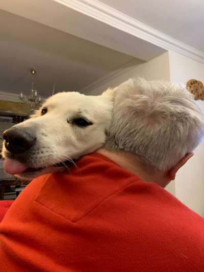 38. Collagen Challenge - "Waschlappen"-Beitrag-Bild