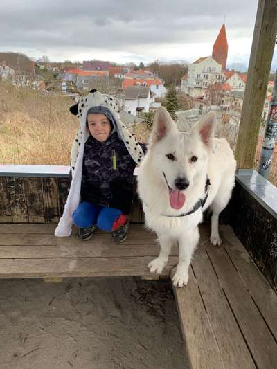 31. Collagen Challenge - Bänke/ Steine /Baumstümpfe-Beitrag-Bild