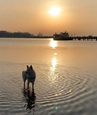 Farben Fotochallenge Sonnenlicht-Beitrag-Bild