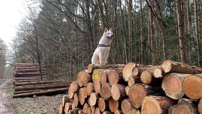 57. Handy Foto Challenge - klettern-Beitrag-Bild