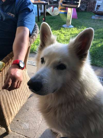 23. Collagen-Challenge: Portraits-Beitrag-Bild