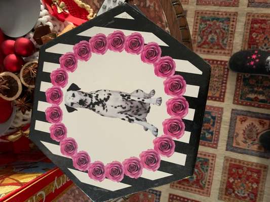 Dogorama Photo Challenge - Weihnachtsbaum-Beitrag-Bild