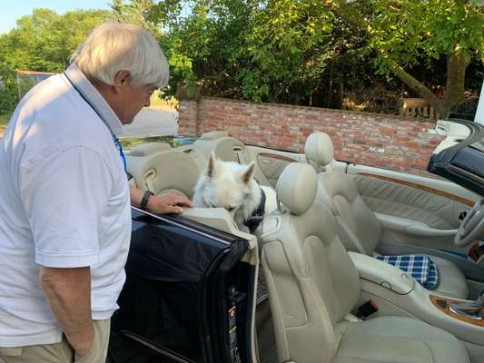 141. FOTO CHALLENGE 
Reisende soll man nicht aufhalten-Beitrag-Bild