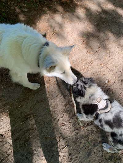 13. Farben-Fotochallenge "Grau"-Beitrag-Bild