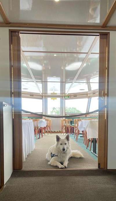 Foto Challenge Nr. 136-Beitrag-Bild