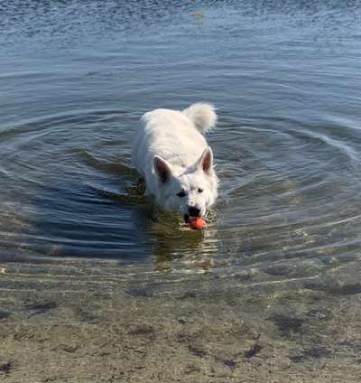 Eure schönsten Fotos mit Wasser-Beitrag-Bild