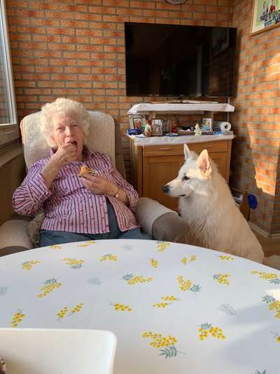 Fotos &Collagen: Beobachtungsposten-Beitrag-Bild