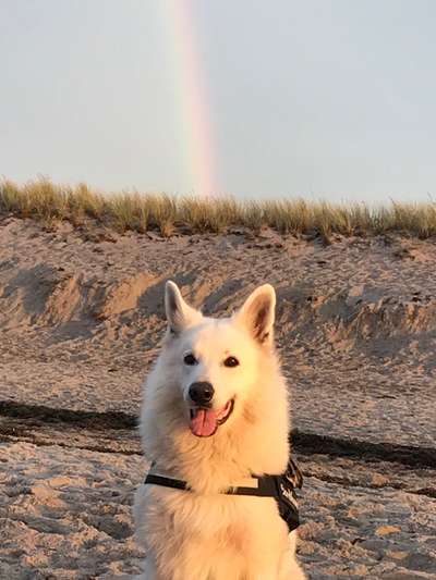 Dogorama Photo Challenge - Portrait-Beitrag-Bild