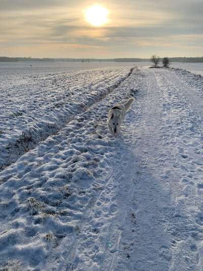 Ton in Ton-Beitrag-Bild