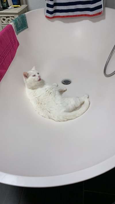 Fotochallenge 128-Beitrag-Bild