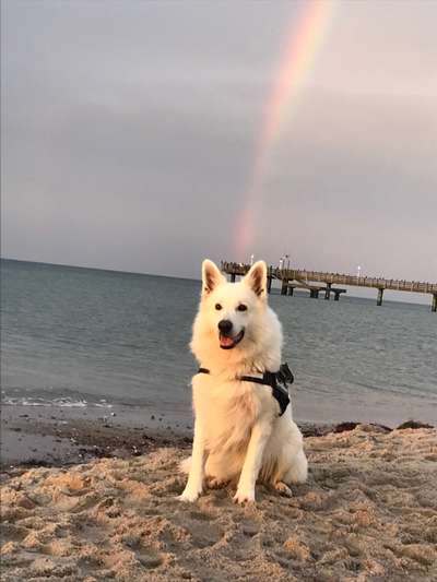 Lieblingsbild-Beitrag-Bild