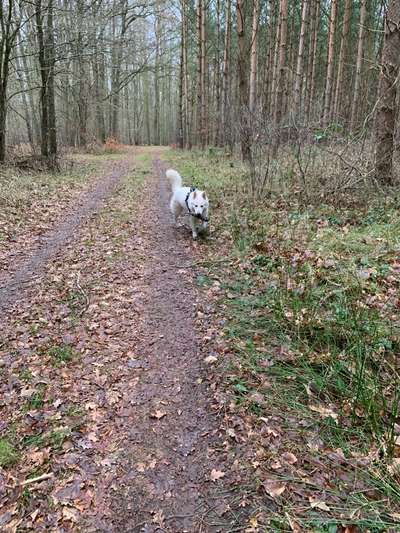 30. Collagen Challenge - Wege/Straßen-Beitrag-Bild