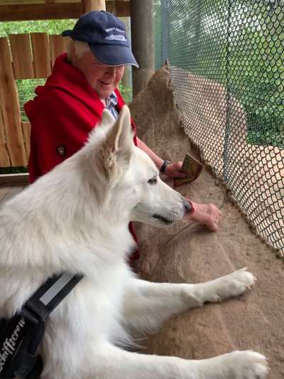 Fotos &Collagen: Beobachtungsposten-Beitrag-Bild