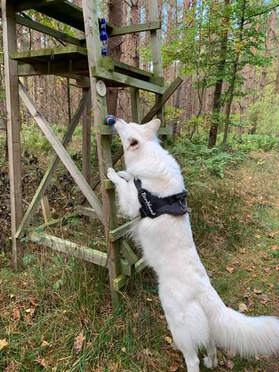 25. Handy Foto Challenge-Beitrag-Bild