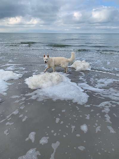 Eure schönsten Fotos mit Wasser-Beitrag-Bild