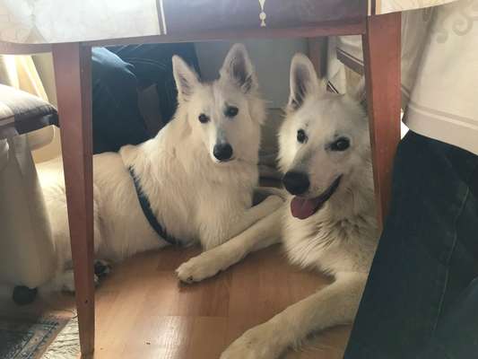 23. Collagen-Challenge: Portraits-Beitrag-Bild