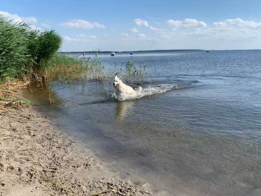 Zeigt eure schönsten Sommerbilder-Beitrag-Bild