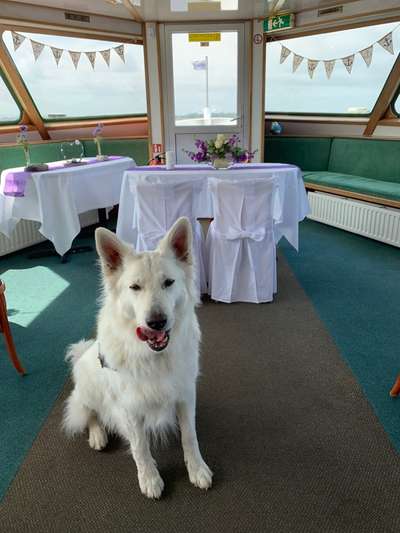 48. Collagen Challenge: Das Leben ist bunt-Beitrag-Bild