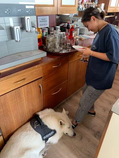 Impulskontrolle Challenge Nr.: 7
         "Gesellschaftsfähig"-Beitrag-Bild