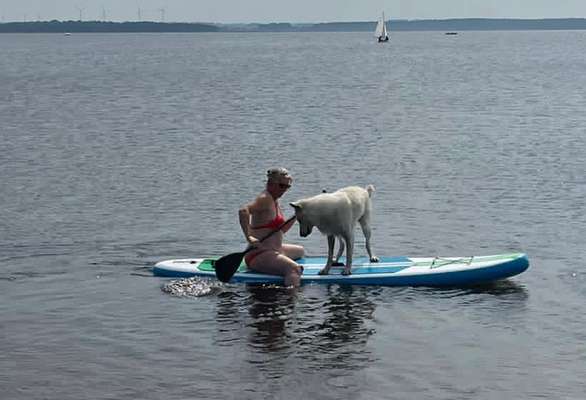 41. Handy Fotochallenge - Euer gemeinsames Hobby-Beitrag-Bild