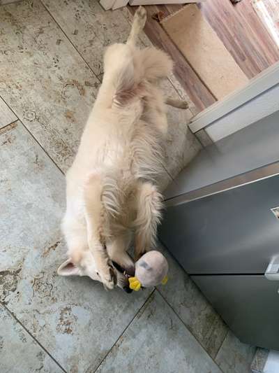 26. Collagen Challenge- Zeigt her eure Zähne-Beitrag-Bild